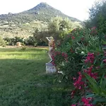 Orange 4*